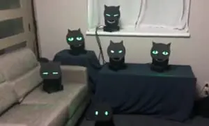 黒猫　ライト 05.jpg