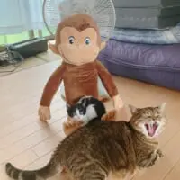 みんなで記念撮影