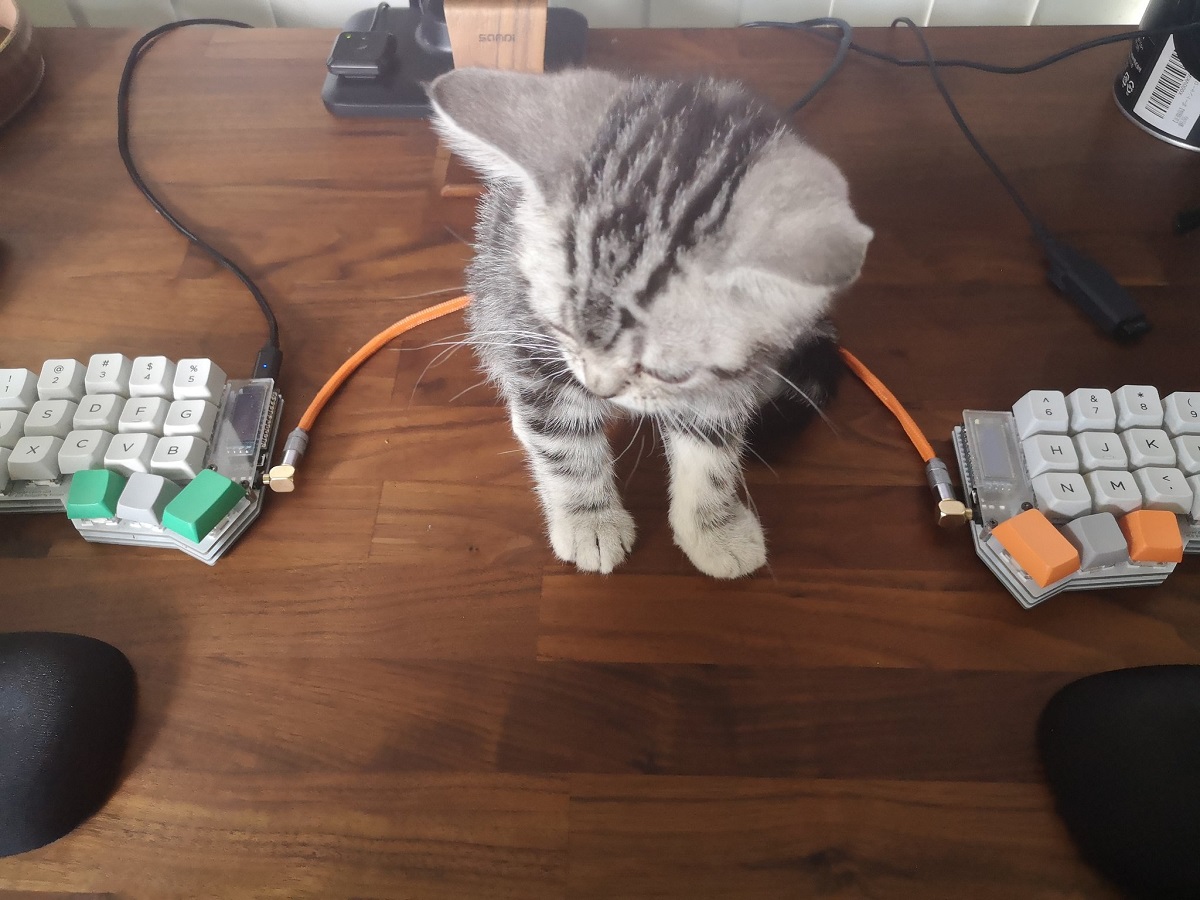 左右分割型のキーボードの意外なメリット　猫飼いには必須？