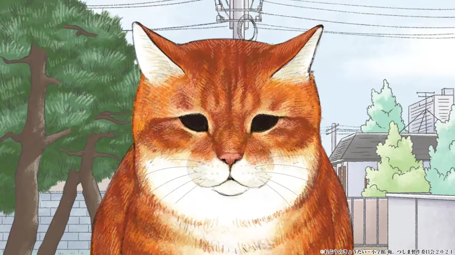 甘えん坊な末っ子的存在・ちゃー