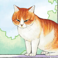 地回り猫・オサム