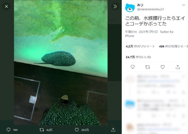 出来るだけ避けたい他人とのコーデ被り　被ったのはまさかの……