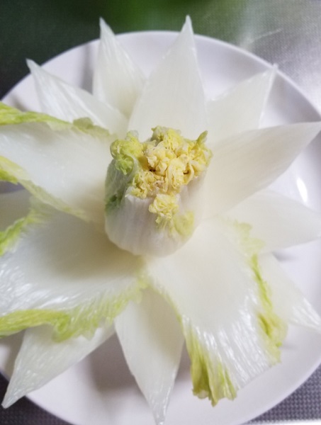 綺麗に花開く開水白菜の裏側