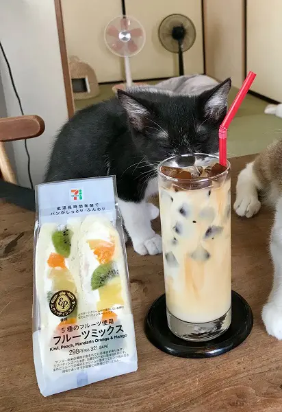 飲み物に顔を近づけて、今にも飲んでしまいそう
