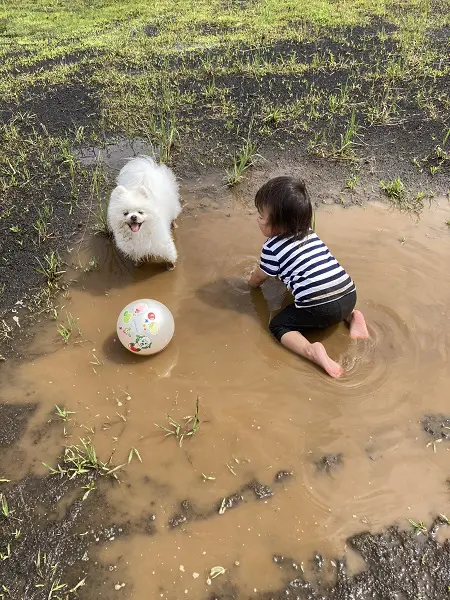 満面の笑みを見せるレイちゃん