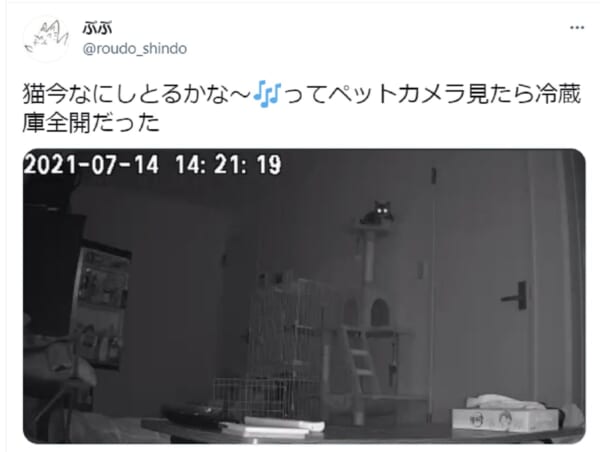 「絶望感やばい」ペットカメラに映った自宅が色んな意味で恐怖映像