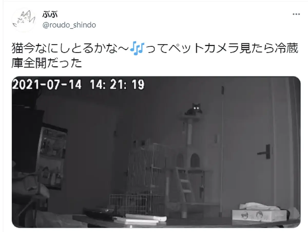 ペットカメラに映る恐怖の光景　飼い主さん「絶望感やばい」