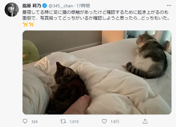 指原莉乃さん公式Twitter（@345__chan）のスクリーンショットです。