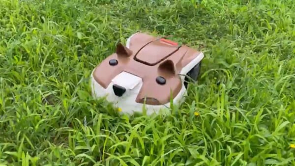 今日もたくさん芝を刈るワン　柴犬の芝刈りロボットが健気でかわいい