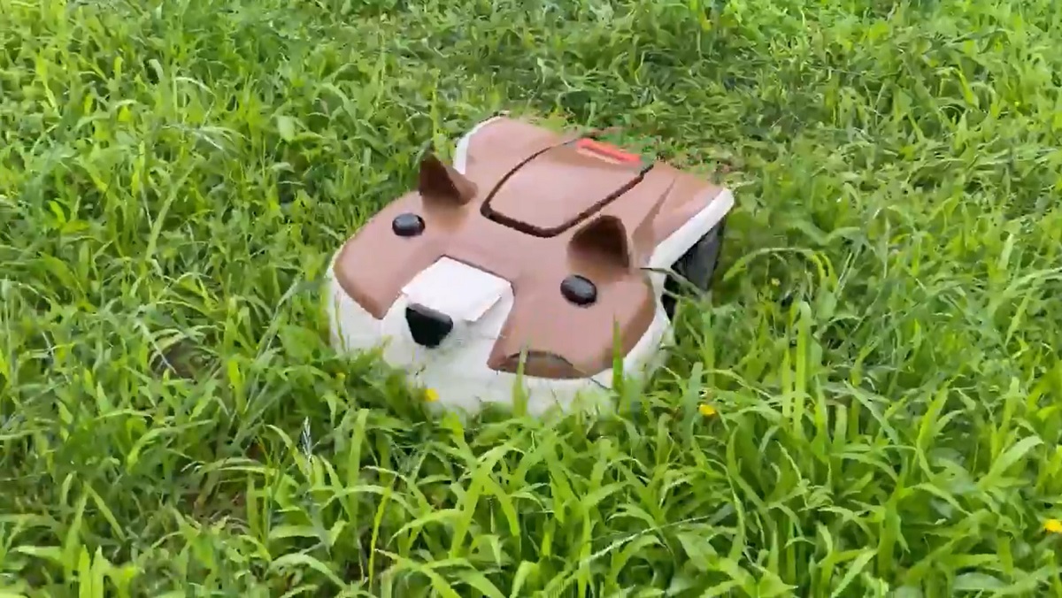 今日もたくさん芝を刈るワン　柴犬の芝刈りロボットが健気でかわいい