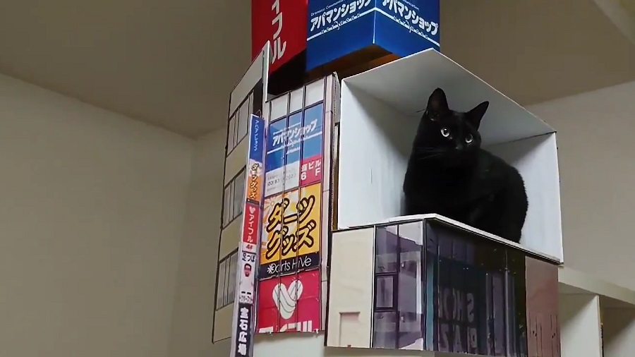 広告の看板や猫が入っている箱を完全再現