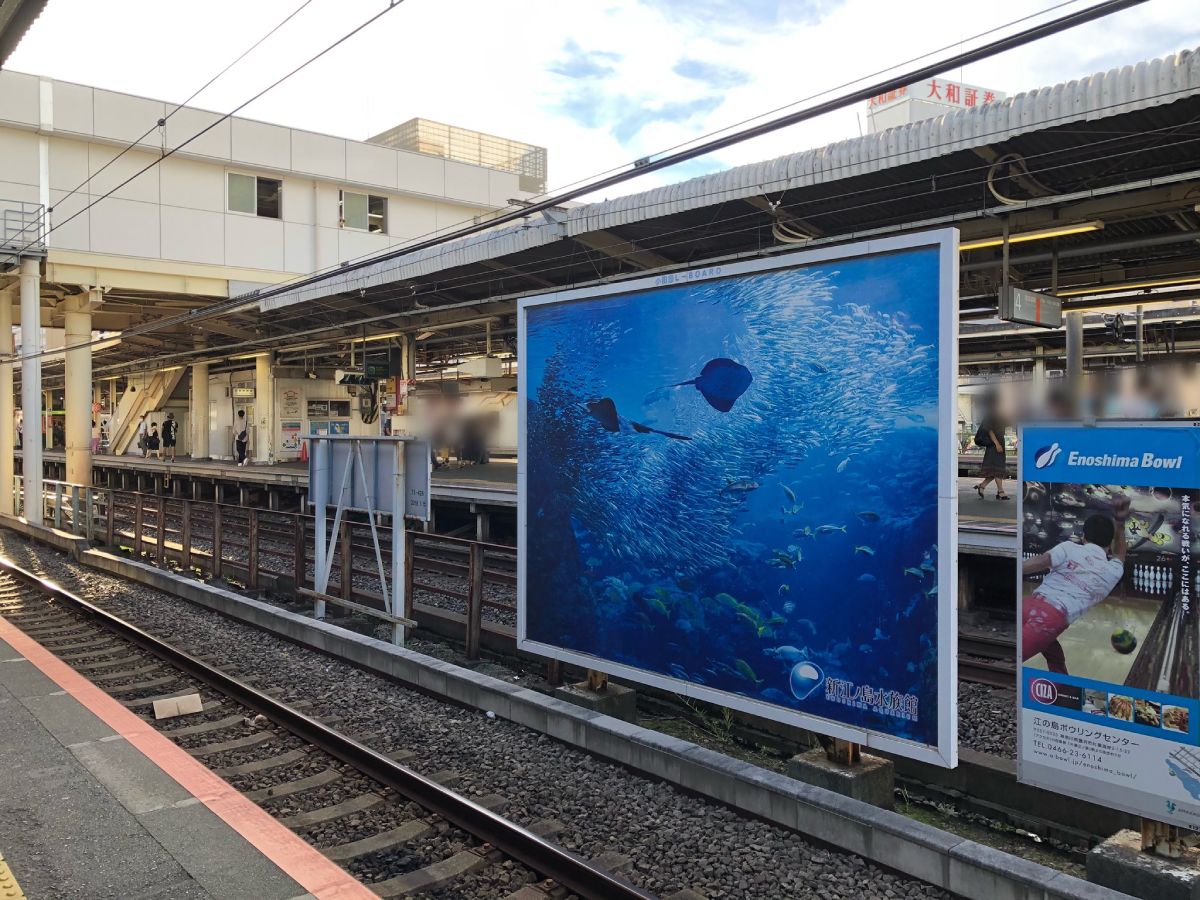 実は車両の向こうには新江ノ島水族館の広告看板が掲示。偶然の写りこみでした。