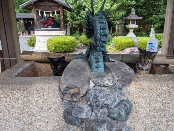 画像提供：阿志都弥神社行過天満宮《公式》Twitter（@yukisugi_shrine）