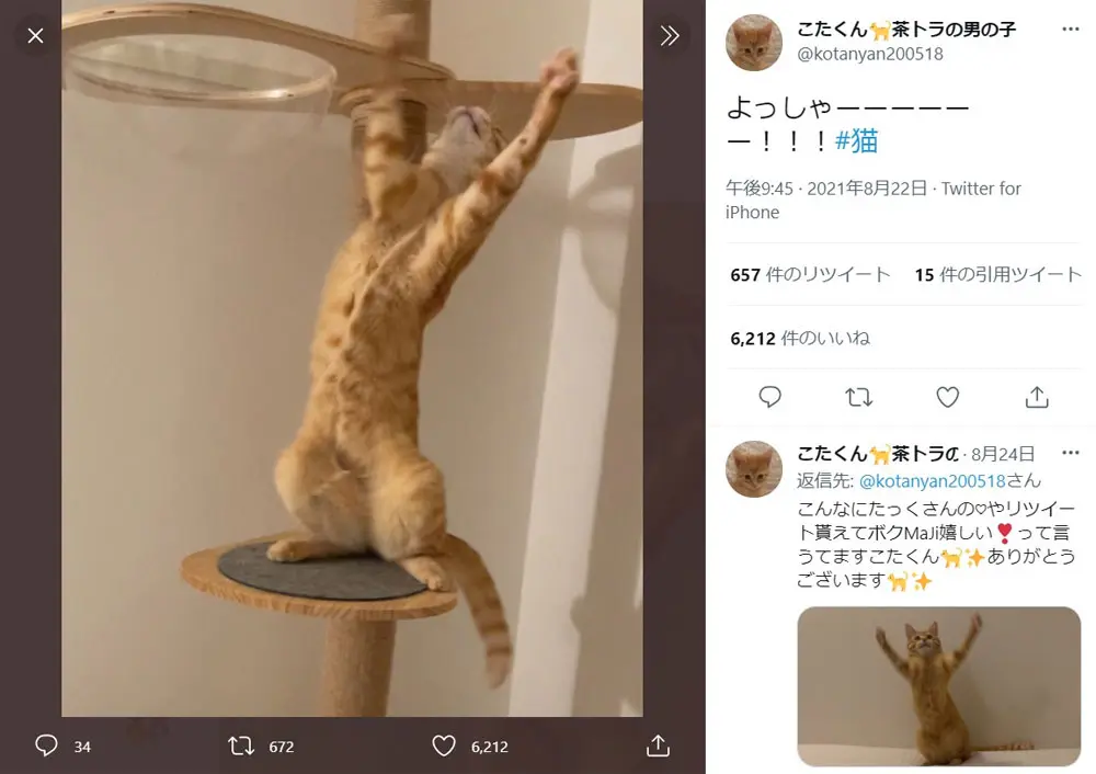 こたくんさんのツイートより