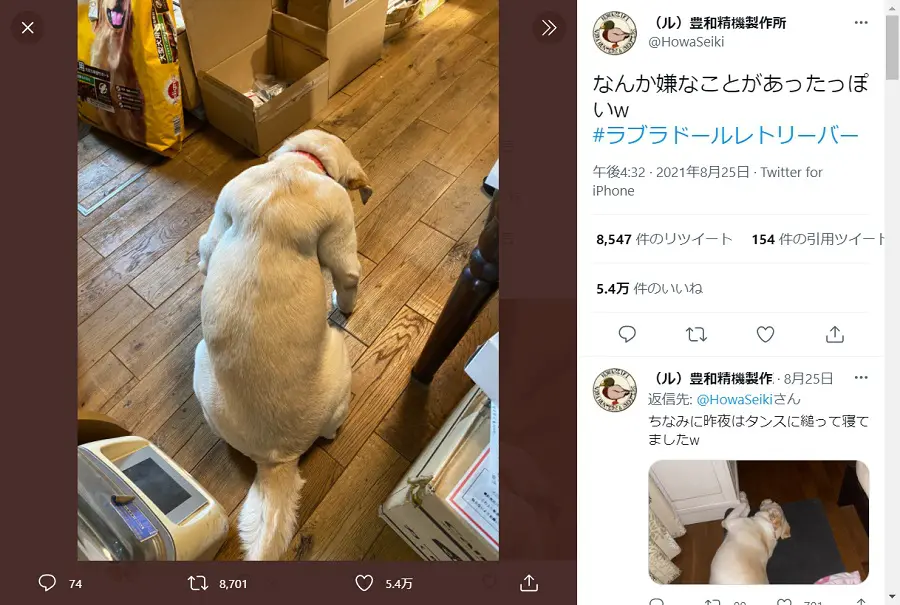 マリーちゃんの哀愁漂う背中には5万件を超えるいいねが