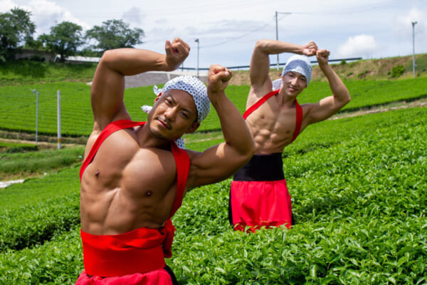茶畑の精霊マッチョ