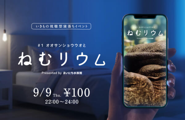 オオサンショウウオとねむリウム