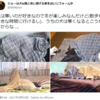 寒いのが苦手なわんこの防寒対策が話題。