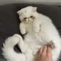 目を閉じたり、のぞき込んだりするUNIちゃん。少し恥ずかしい？