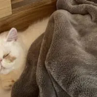 普段はおっとりした甘えん坊なUNIちゃん。