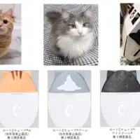 実際の猫をモデルにデザイン