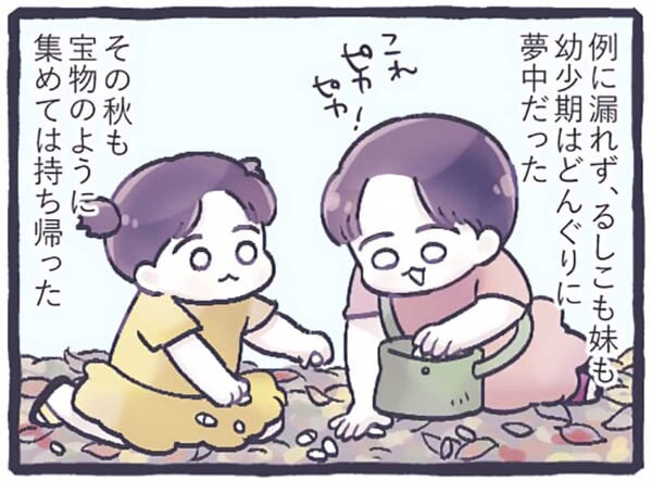小さい頃のどんぐり集めには注意点が（るしこさん提供）