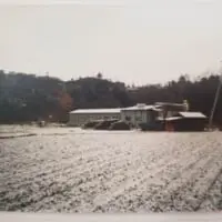 かつての菊水産業（菊水産業提供）