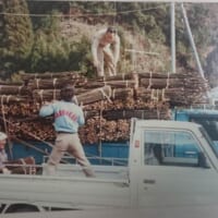 鹿児島での原木調達風景（菊水産業提供）