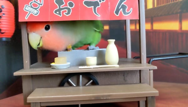おでん屋台から顔を出すりんごちゃん（クリッチさん提供）