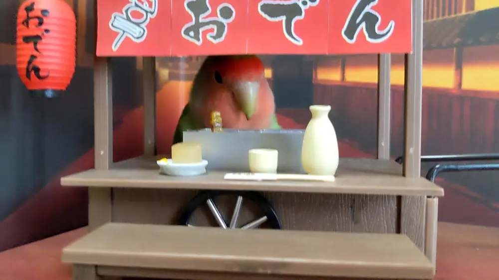 客待ち中のりんごちゃん（クリッチさん提供）
