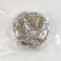 中身