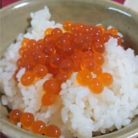 白ご飯の上に乗ったイクラが何とも食欲をそそります