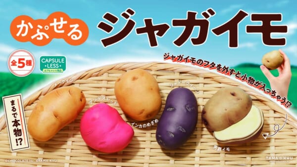 かぷせるジャガイモ