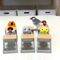 スッとやってきて……