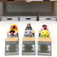 お行儀よく着席しました