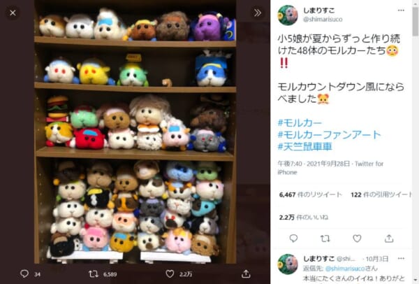 のべ48体のモルカーが揃い踏み！小学5年生の手作り作品が話題