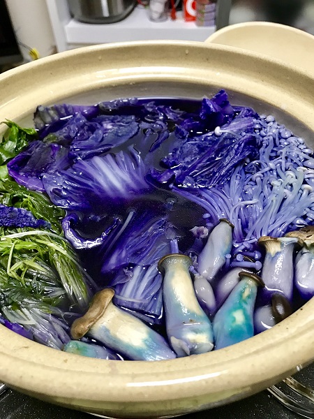魔女鍋？美味しく出来たと思った水炊きが青紫色に