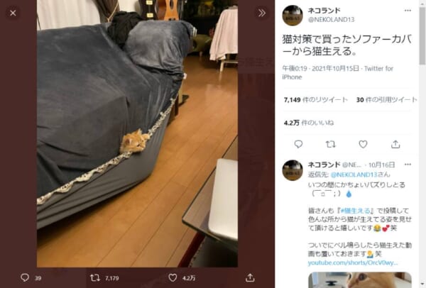 ソファカバーの隙間からひっそりと生えた猫ちゃんの姿にクスッ