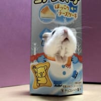 ひょこっと顔を出す姿にほっこりします