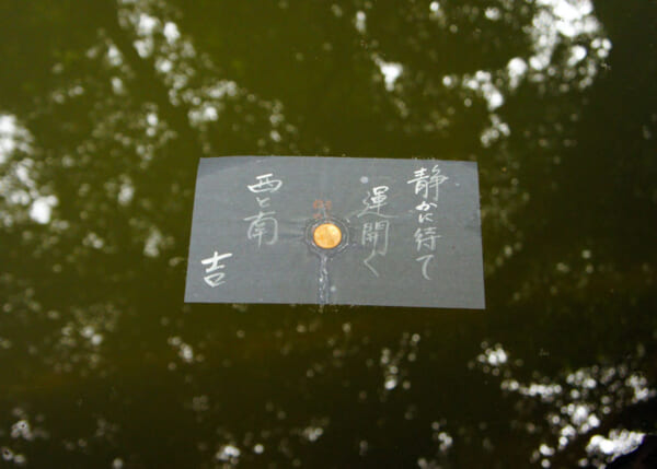 画像はイメージです（撮影：石川晶子）