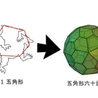五角形六十面体で作ることに（テセ松さん提供）