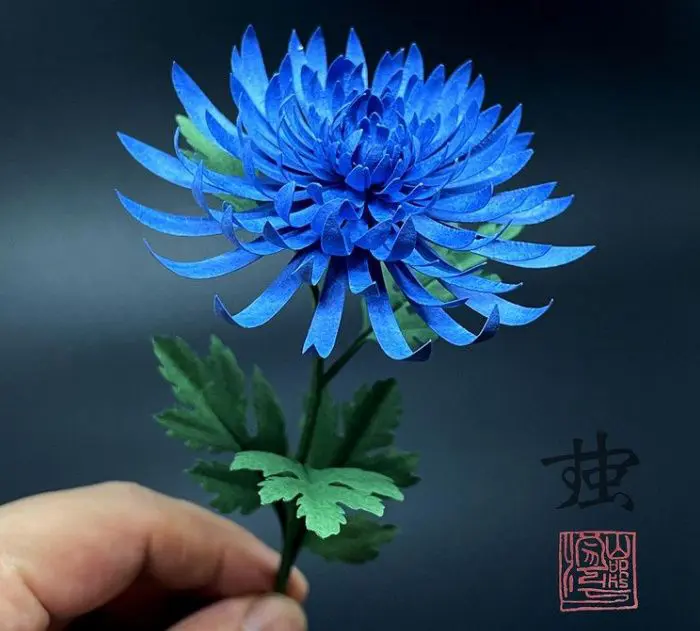 題材は小さな生き物や身近な花。