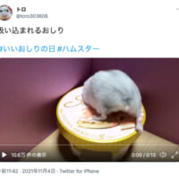 「吸い込まれるおしり」ツイート（スクリーンショット）