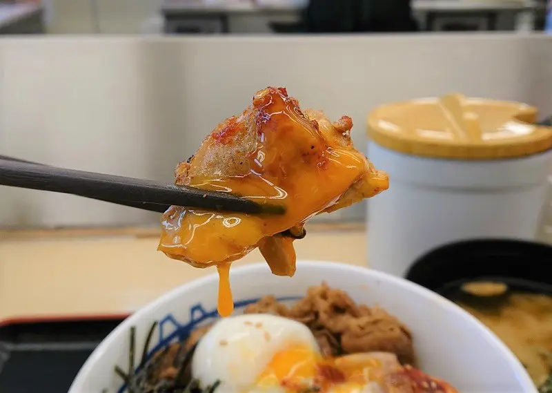 半熟玉子が全体をまろやかに包み込んでいて、もう箸が止まりません