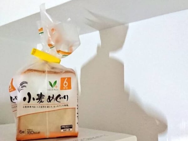 偶然の産物も異議なしの出来栄え「逆転裁判」なるほどくんのシルエット
