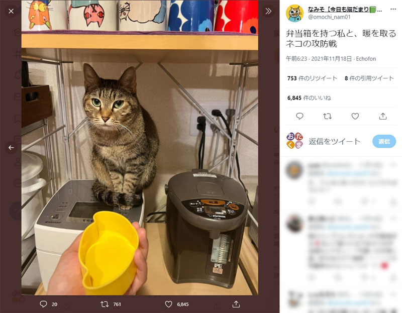 お弁当を作りたい飼い主VS炊飯器の上で暖を取りたい猫