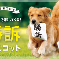 判決を取ってくる犬用おもちゃ「勝訴マスコット」