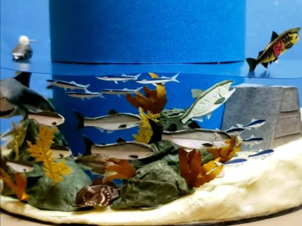 サケの一生を表現した紙のジオラマ作品　パノラマが見せる生命の循環