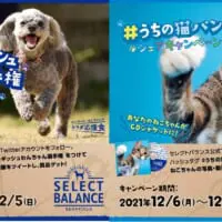 「セレクトバランス」Twitterキャンペーン