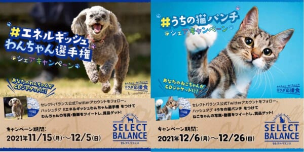「セレクトバランス」Twitterキャンペーン